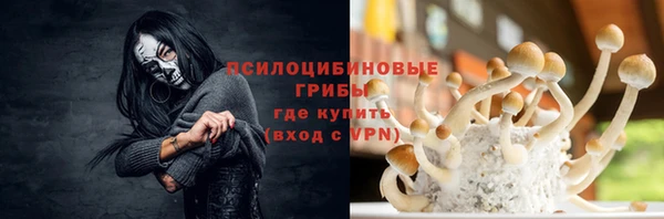 ECSTASY Няндома