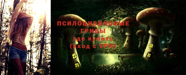 винт Армянск